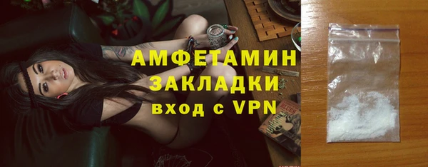 амф Бородино