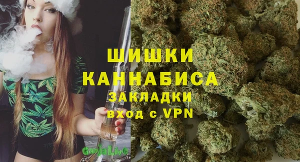 амф Бородино